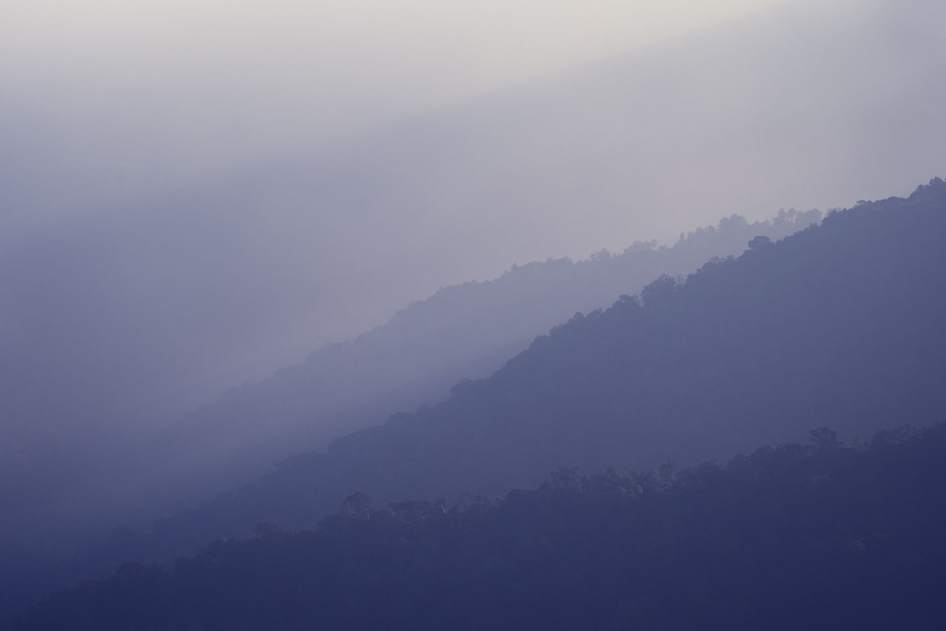Misty mountains of Meghalaya